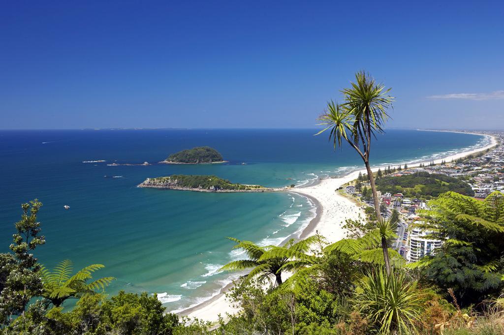 Oceanside Resort & Twin Towers 마운트마운가누이 외부 사진